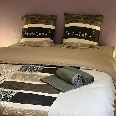 Heart Of Saint-louis - Airport, Station, Borders * Saint-Louis (Haut-Rhin)