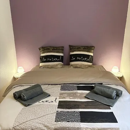 Apartment Heart Of Saint-louis - Airport, Station, Borders