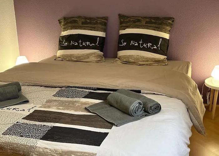 Heart Of Saint-louis - Airport, Station, Borders * Saint-Louis (Haut-Rhin)