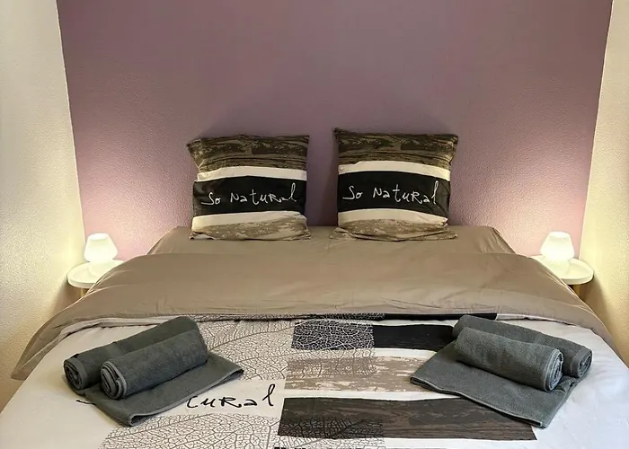 Apartamento Heart Of Saint-louis - Airport, Station, Borders